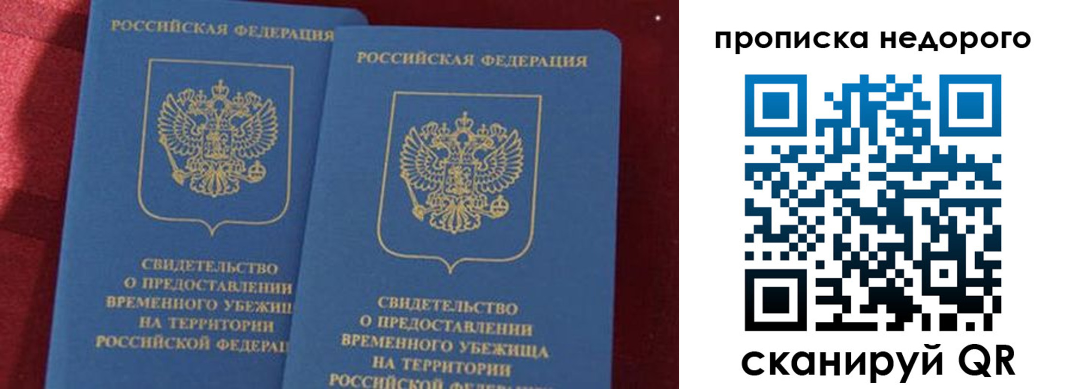 прописка гарантия в Карпинске